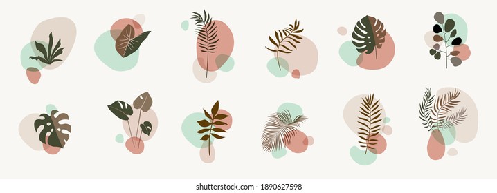 Vector abstract botanical compositions. Boho story highlites template. Fluid organic shapes, neutral colors. Bohemian exotic leaves. Mid Century Modern foliage design. Twigs illustration