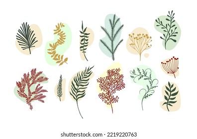 Vector abstract botanical compositions. Boho story highlites template. Set of abstract leaves and twigs. Vector illustration