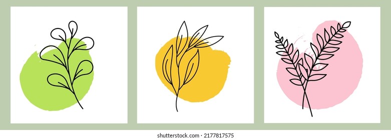 Vector abstract botanical compositions. Fluid organic shapes, neutral colors, leaves. Modern foliage design. Twigs illustration