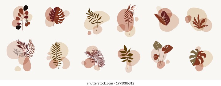 Vector abstract botanical compositions. Story highlights template. Earthy colors natural organic fluid shapes. Social media bohemian jungle exotic leaves design. Boho style foliage. Twigs illustration