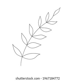 Vector abstract Branch of Plant for Logo or Icon. Minimalist hand drawn botanic Illustration