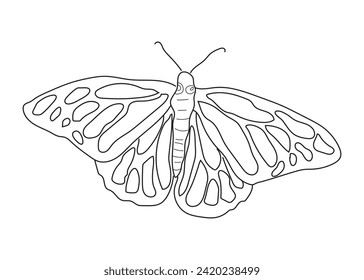 Vector abstract butterfly line art design