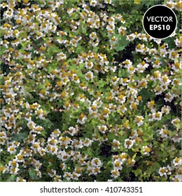 Vector abstract chamomile flowers background.