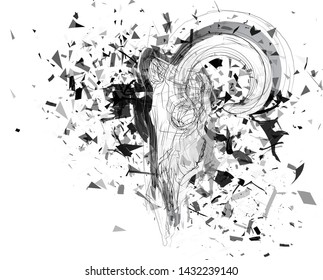 Vector abstract chaotic background.
exploded lamb skull