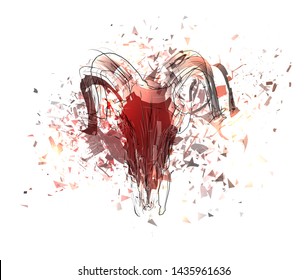 Vector abstract chaotic background.
exploded lamb skull