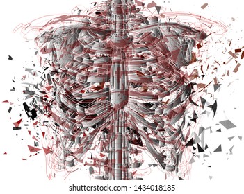 Vector abstract chaotic background.
man’s spine and ribs exploded