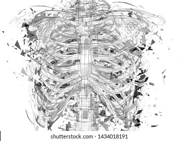 Vector abstract chaotic background.
man’s spine and ribs exploded