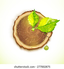 Vector abstract clock with tree stump, round cut with annual rings. Conceptual eco friendly hand drawing illustration. Time for natural lunch idea artistic banner.