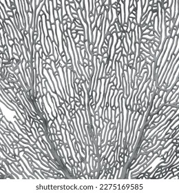 Imagen aislada de textura de coral abstracta vectorial