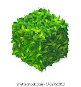Vector abstract cube made of green leaves 