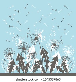Vector abstract dandelions with flying seeds and leaves on blue background. Summer flowers card.