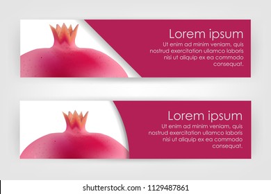 Vector abstract design banner web template. With a picture of fruit pomegranate