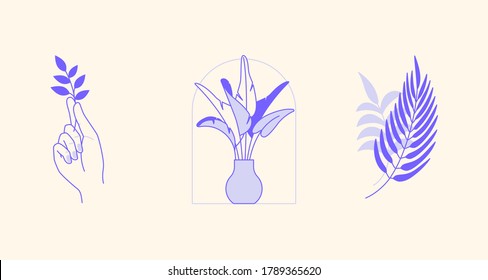 Vector abstract design templates and illustration in minimal linear style - minimalistic modern art - palm leaf, hand with leaf and vase with plant - abstract t-shirt print  - beauty and fashion conce