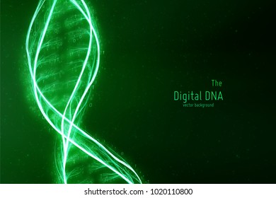 Vector Abstract DNA Double Helix Illustration. Mysterious Source Of Life Background. Futuristic Genom. Conceptual Design Of Genetics Information With Binary Numbers. Digital And Organic Life Union.