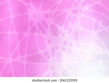 Vector abstract doodle background. Colorful illustration in abstract style with doodles created by child. The completely new template can be used for your brand book.