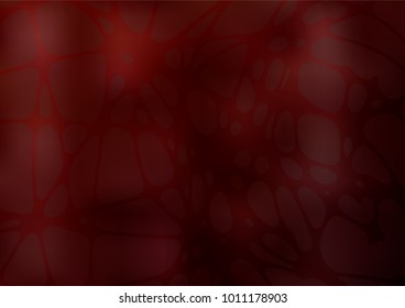 Vector abstract doodle template. Shining colored illustration with childish doodles in Arabic style. A new texture for your design.