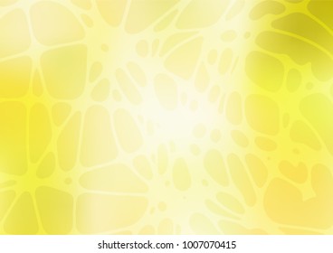 Vector abstract doodle wallpaper. Childish elegant natural pattern with gradient. A new texture for your design.