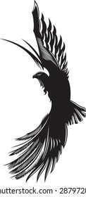 Vector abstract drawing of soaring eagle
