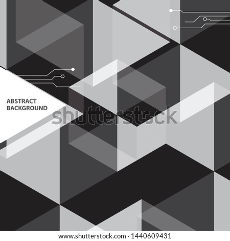 Vector Abstract Elegant white and blak Background ,Vector illustration
