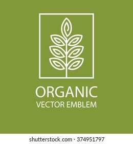 Vector abstract emblem,outline monogram, flower symbol, concept for organic shop or yoga studio, logo design template, linear logo design template, organic food and farming, green, vegan food concept