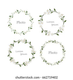 Vector abstract of flora circle for background