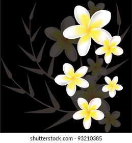 vector abstract floral background with frangiapani