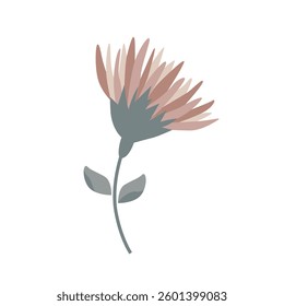 Vector abstract flower isolated on white. Botanical element in a flat style. Simple plant.