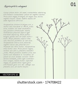 Vector abstract flower with text. Illustration.