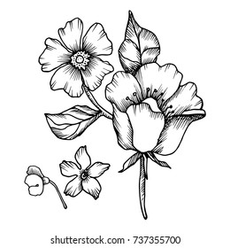 Vector abstract  flowers. Black-and-white solution.
Drawn manually.The design is suitable for use in decoration, tattoo, textiles, invitations and promotional projects.