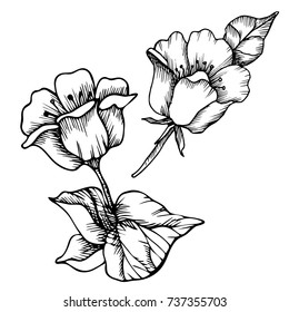 Vector abstract  flowers. Black-and-white solution.
Drawn manually.The design is suitable for use in decoration, tattoo, textiles, invitations and promotional projects.