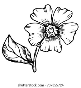 Vector abstract  flowers. Black-and-white solution.
Drawn manually.The design is suitable for use in decoration, tattoo, textiles, invitations and promotional projects.