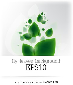 vector Abstract fly leaves background