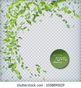 Vector abstract foliage background. Green flying Leaves