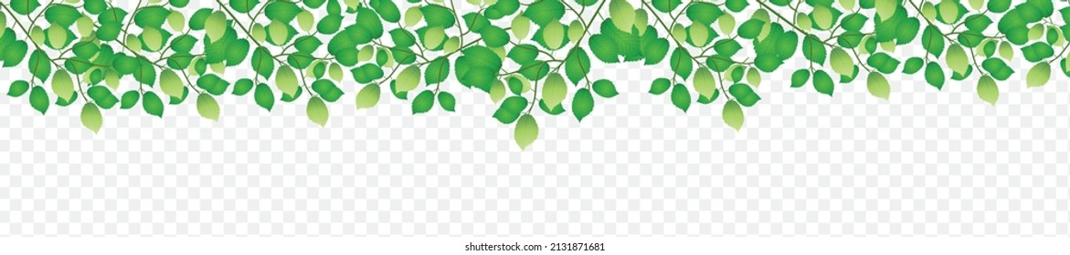 Vector abstract foliage background. Green flying Leaves
