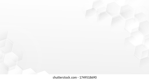 Vector Abstract geometric shape from gray and hexagon. White Hexagon. For business  presentation.