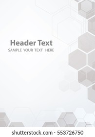 Vector Abstract Geometric White Background. Template Brochure Design. Gray Hexagon Shape