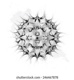 Vector abstract geometrical shape lineart style