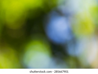 Vector abstract green bokeh