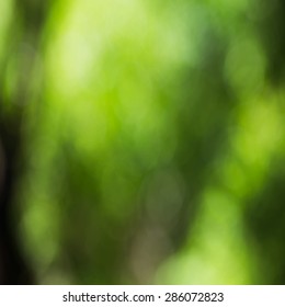 vector abstract green bokeh