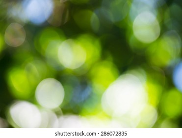 vector abstract green bokeh