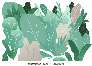 Vector abstract green bushes, trees with wide foliage pattern, symbol of nature, ecology and organic products. Forest or garden plant with summer leaves. Isolated cartoon illustration