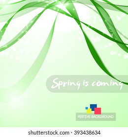 Vector Abstract green curved lines background. Template brochure design. Vector illustration.