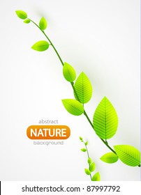 Vector abstract green leaves