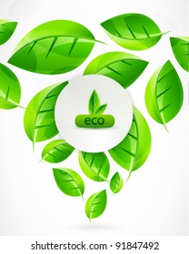 Vector abstract green leaves background