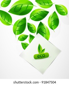 Fondo de hojas verdes abstractas del vector