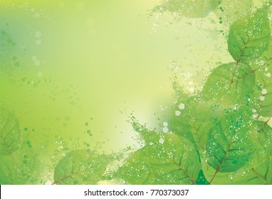 Vector abstract,  green leaves, nature background.