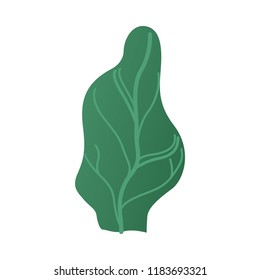 Vector abstract green tree with wide foliage, symbol of nature, ecology and organic products. Forest or garden plant with summer leaves. Isolated cartoon illustration