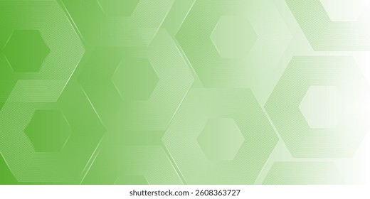 Vector abstract hexagonal white and green background. Smooth hexagon line background, blurred pattern. Light pale texture.
