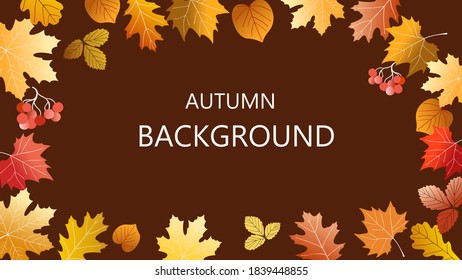 Vector abstract horizontal background with autumn elements, shapes, plants. Background for promo poster and frame leaflet or web banner and social media