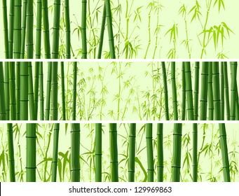 Vector abstract horizontal banner with many trunks bamboo tree in green color.